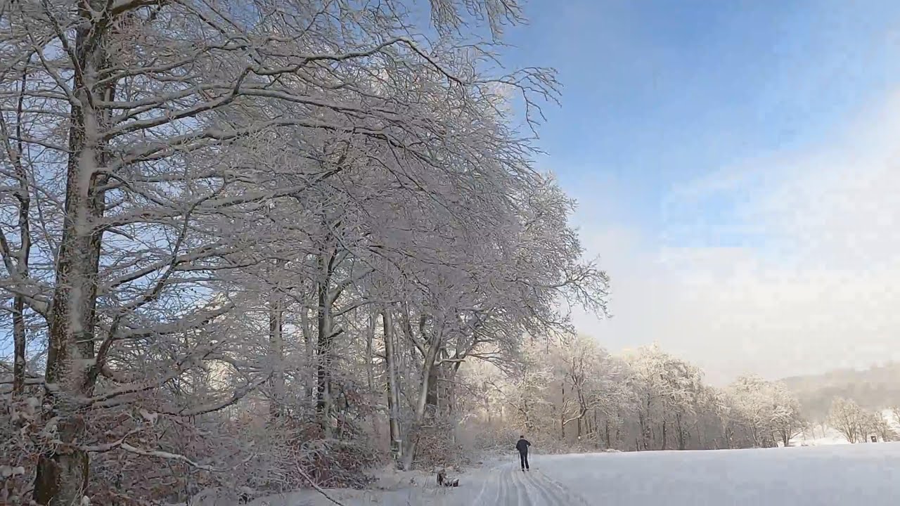 Langlauf2026