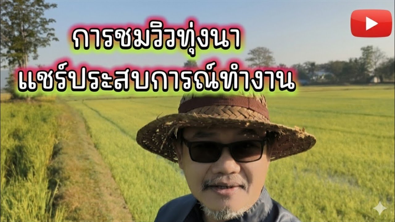 การชมวิวทุ่งนาแชร์ประสบการณ์ทำงาน