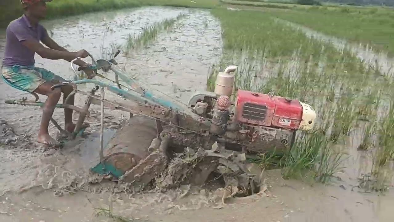 যারা মনে করেন ২৮ ফাল এর পাওয়ার টিলার দিয়ে বেশি গর্ত জমিতে চাষ করা যায় না তাদের জন্য এই ভিডিও।