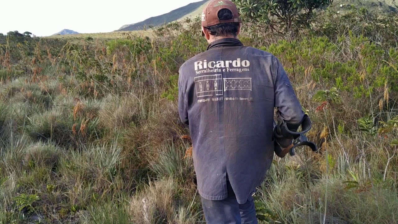 procurando ouro na chapada Diamantina, será que encontramos? 👍👍👍🏼