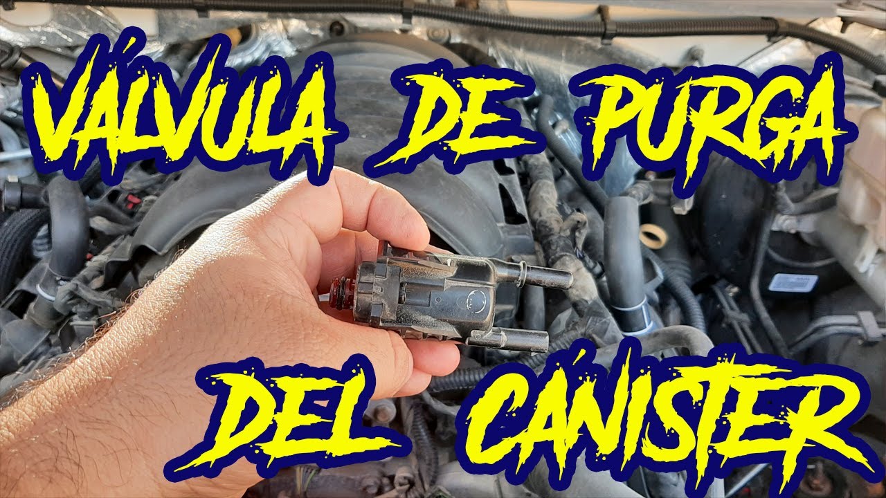Válvula de purga del Cánister || ¿Qué es?, ¿Para qué sirve?