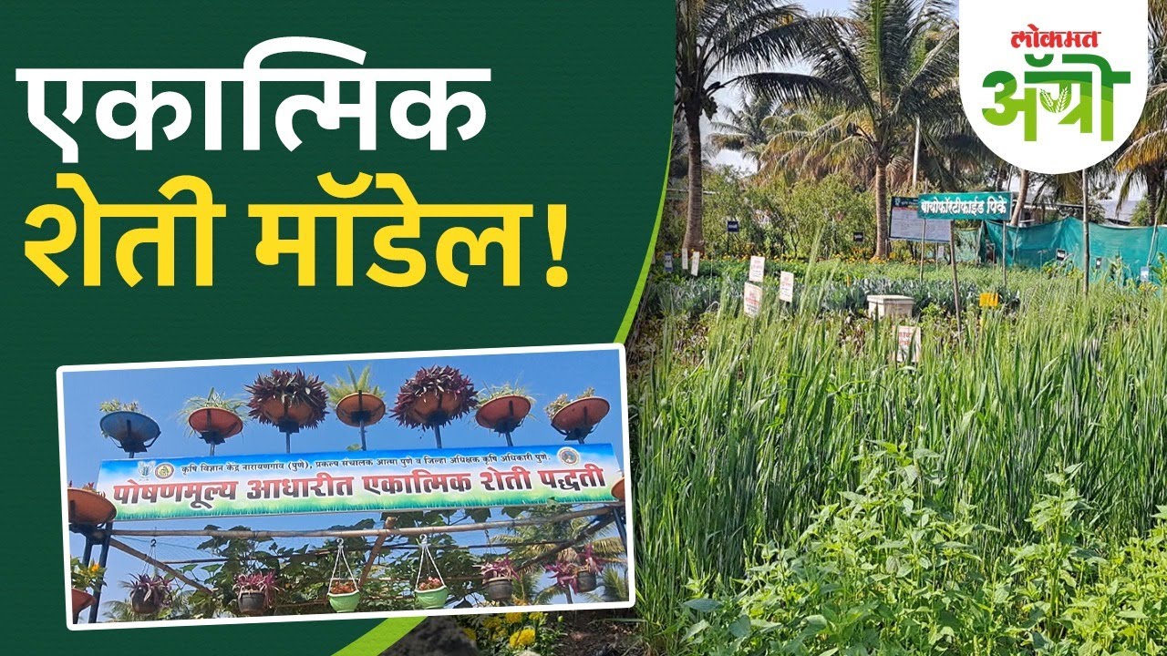 Integrated Farming Model : पोषणमूल्य आधारित एकात्मिक शेती पद्धतीचा नमुना | DL2