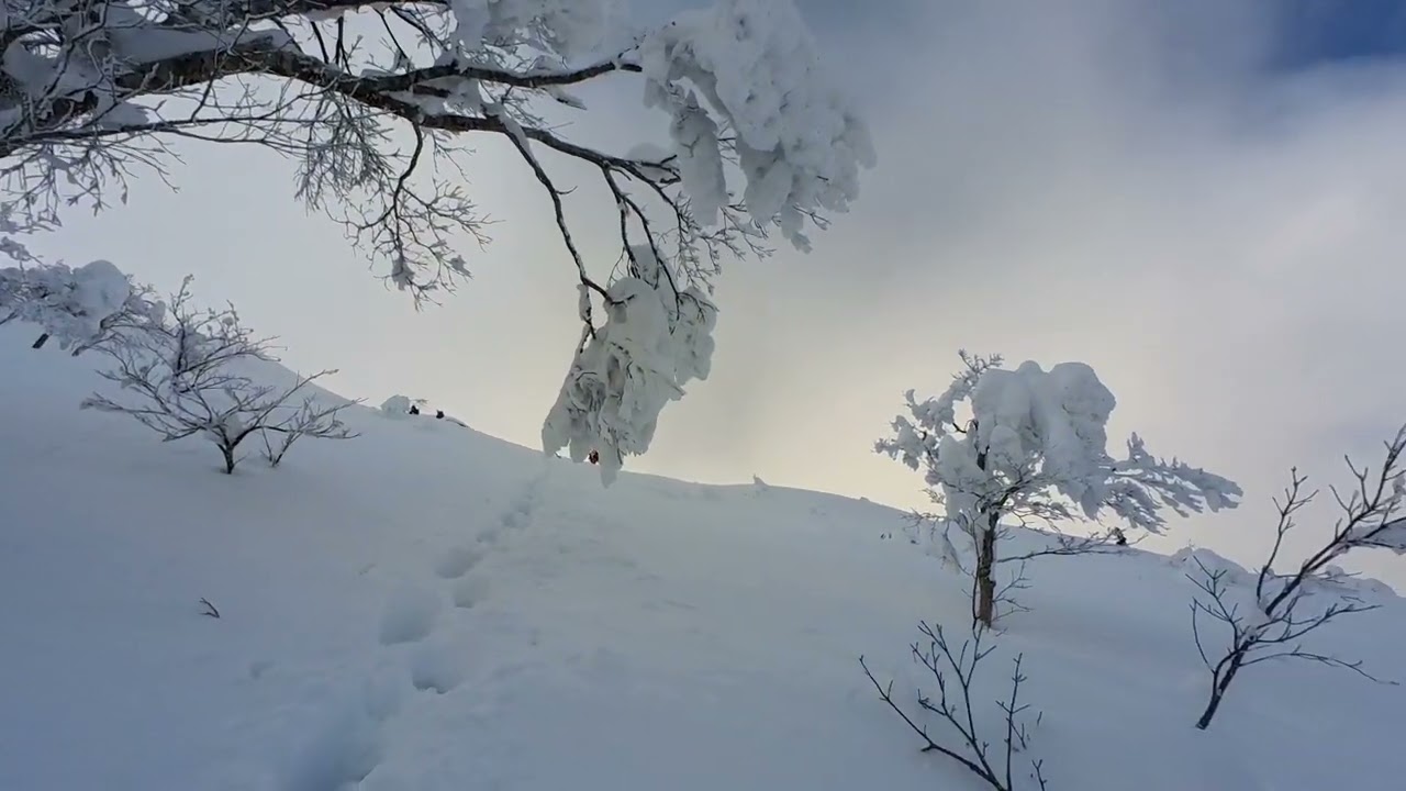 2026.2.4 深雪の伯耆大山（夏山登山道）