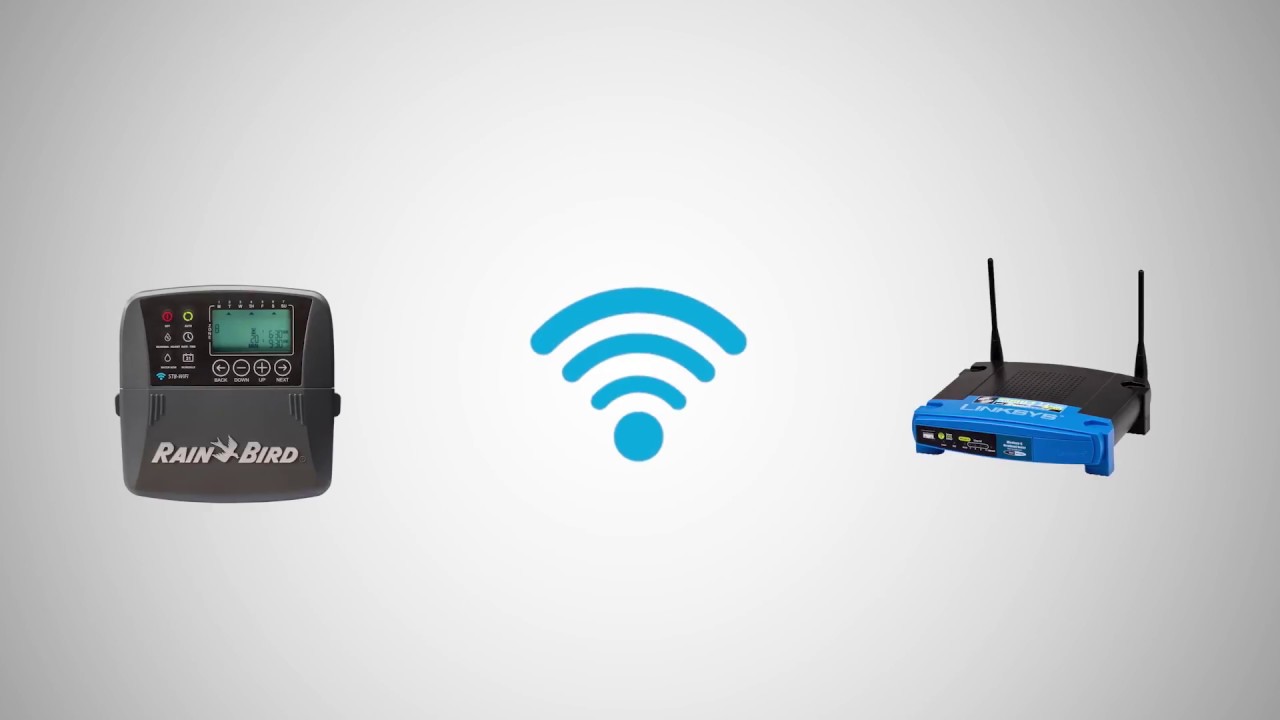 Rain Bird ST8-WiFi Timer: Installation and Set-up