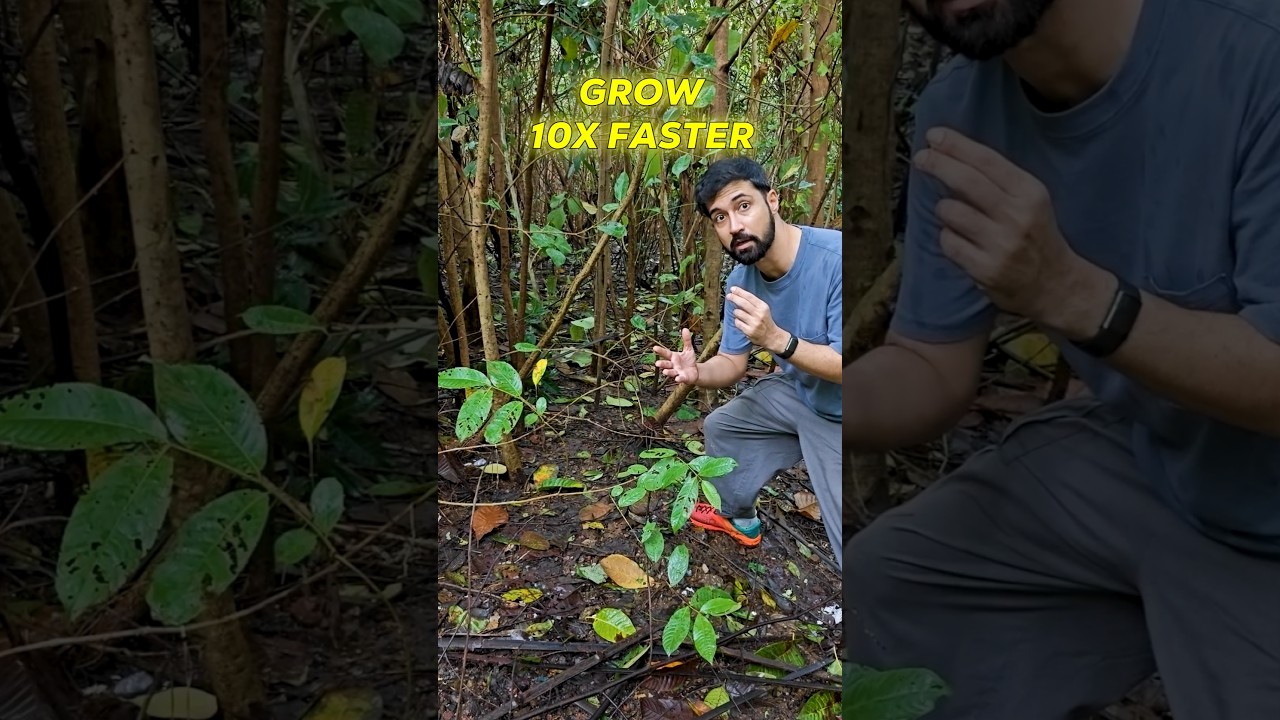How Tress grow 10x faster