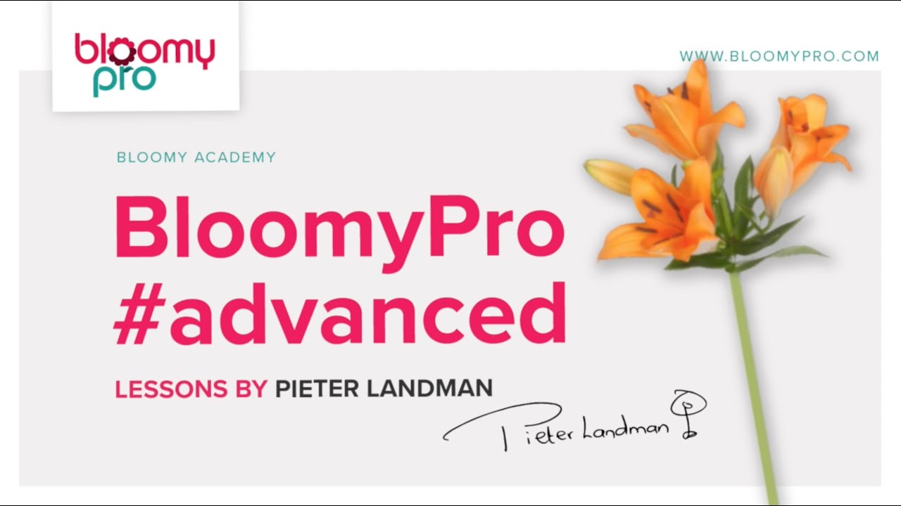 BLOOMYPRO ADVANCED LESSON (virtual flower arranging)
