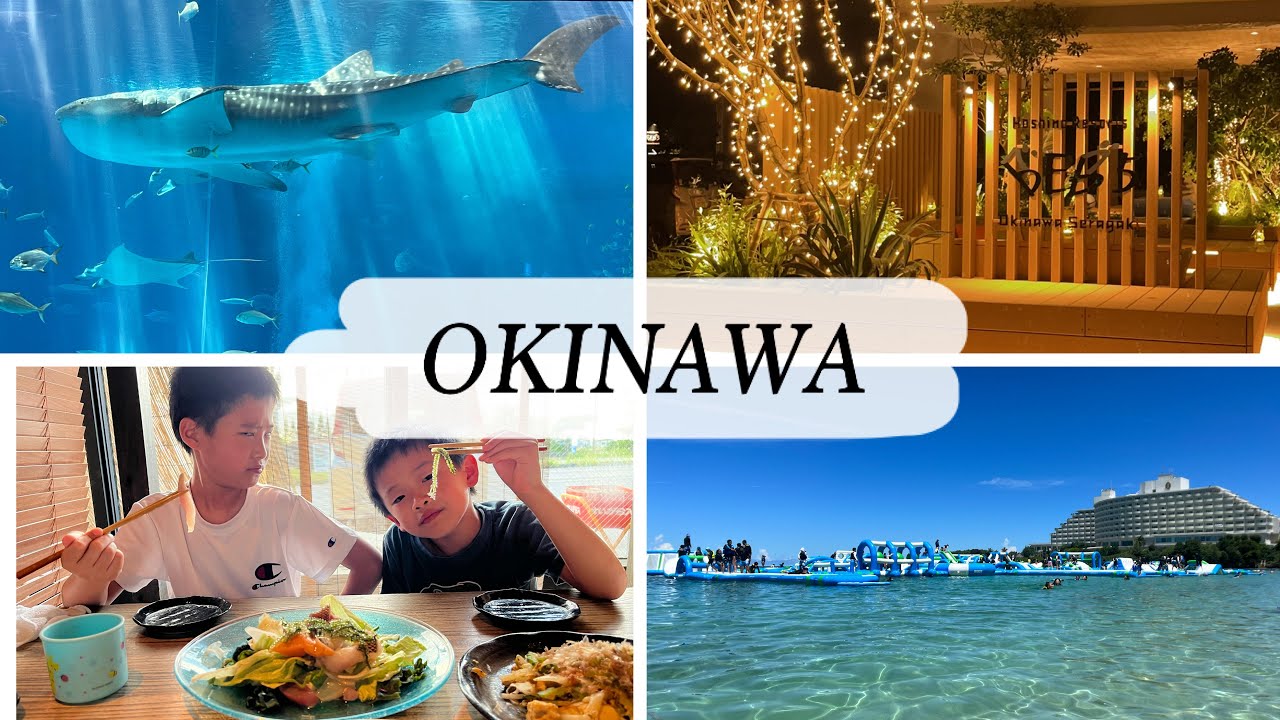 Travel Japan Vlog | OKINAWA | Churaumi Aquarium, BEB5 Hotel, Ocean Park at Manza Beach, Local Dinner