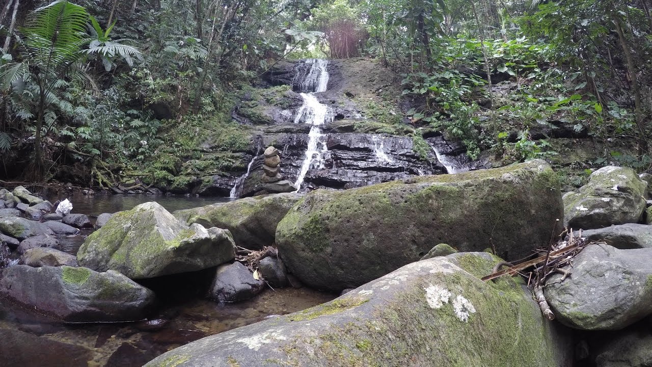 El Yunque Rainforest, Puerto Rico - La Coca Trail Hike