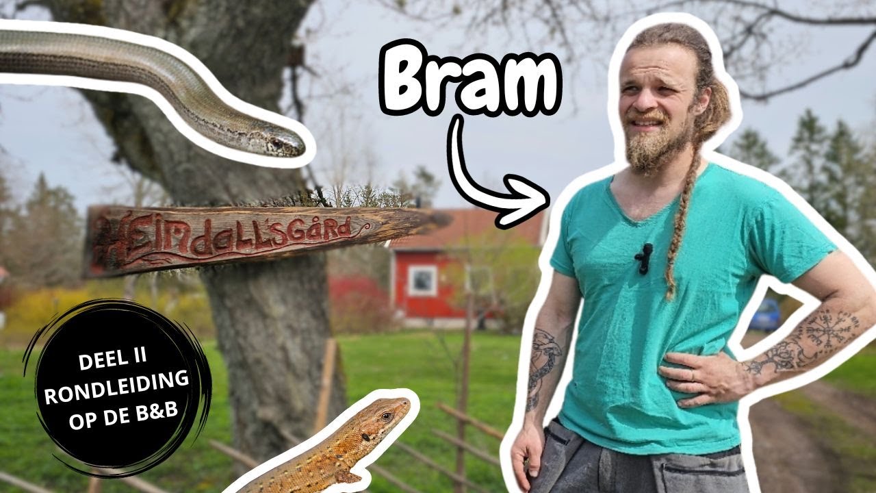 Op Avontuur in Zweden (Deel II) | Met Bram Opzoek naar Reptielen op en rondom de B&B!