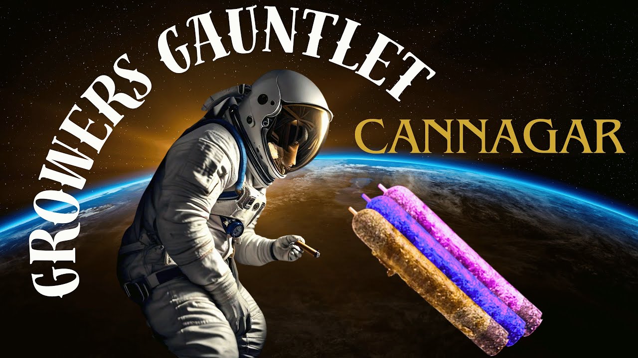 I Made a Giant Cigar Out of Weed