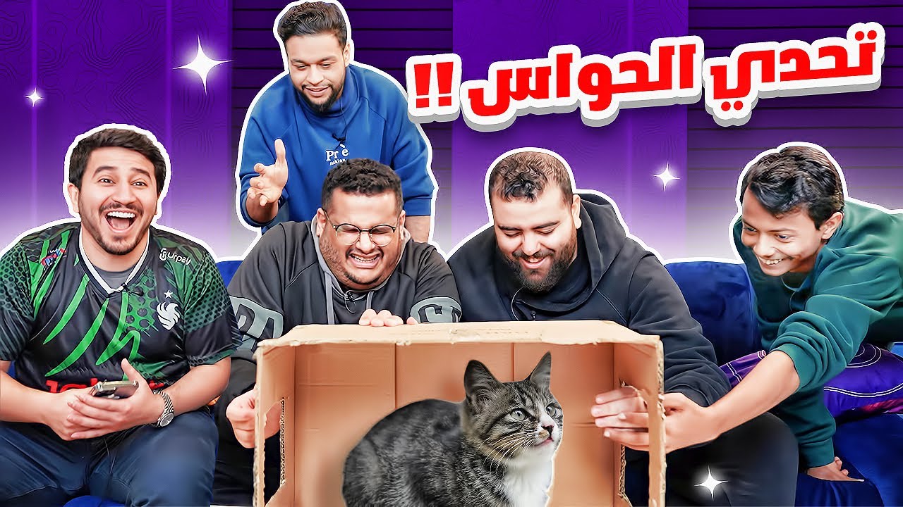 تحدي الحواس في مقر فالكونز 