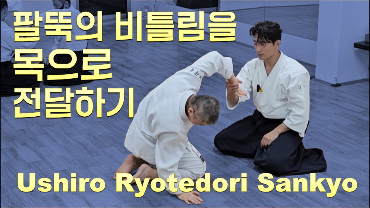 【아이키도】 팔꿈치 인대 끊을 필요 없습니다(뒤양손잡기 3교)