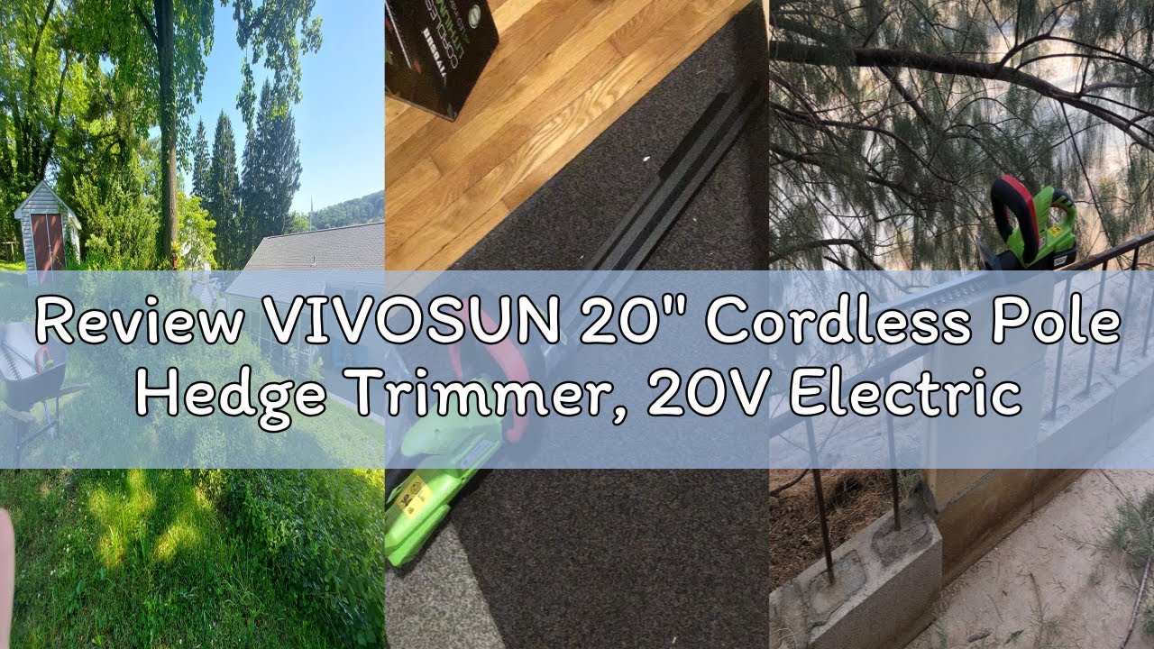 Review VIVOSUN 20
