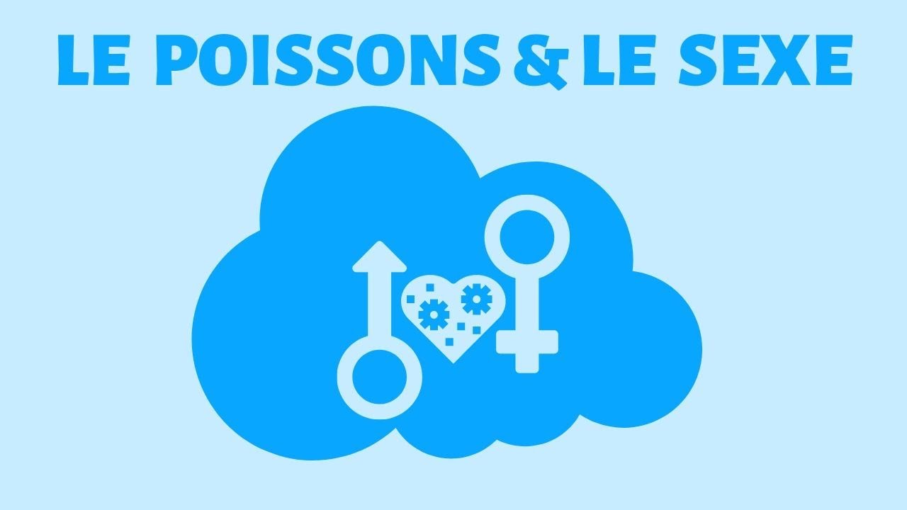 Le Poissons et le sexe en 5 étapes 🍑🧡