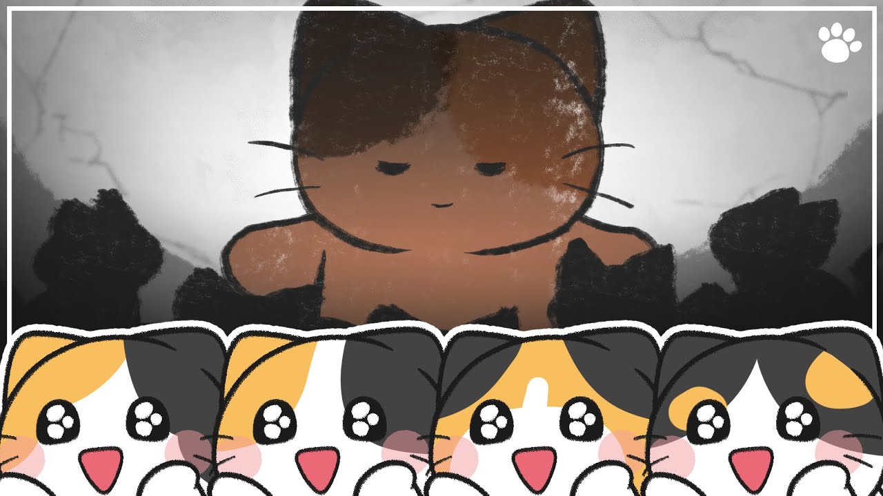우리가 몰랐던 삼색 고양이의 비밀 3가지