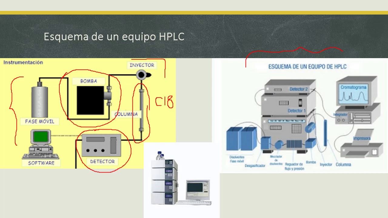 CROMATOGRAFÍA HPLC