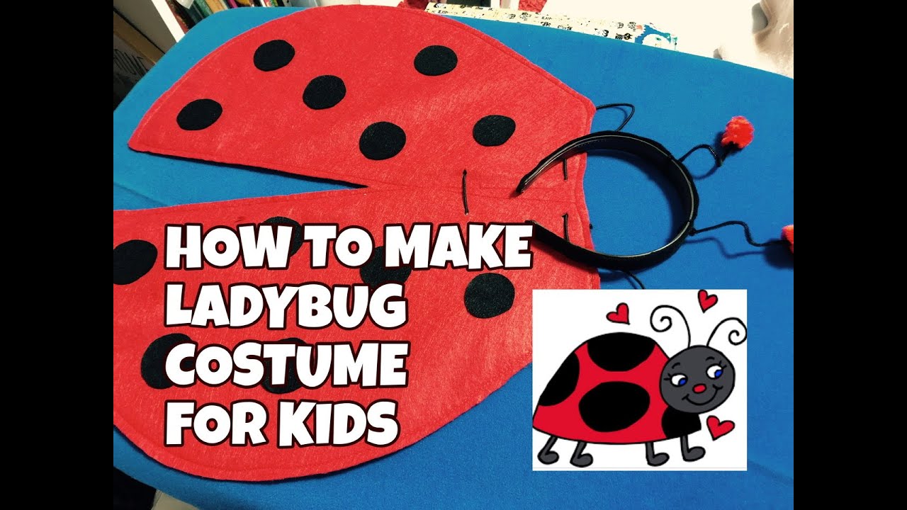 EASY TO MAKE LADY BUG COSTUME FOR KIDS