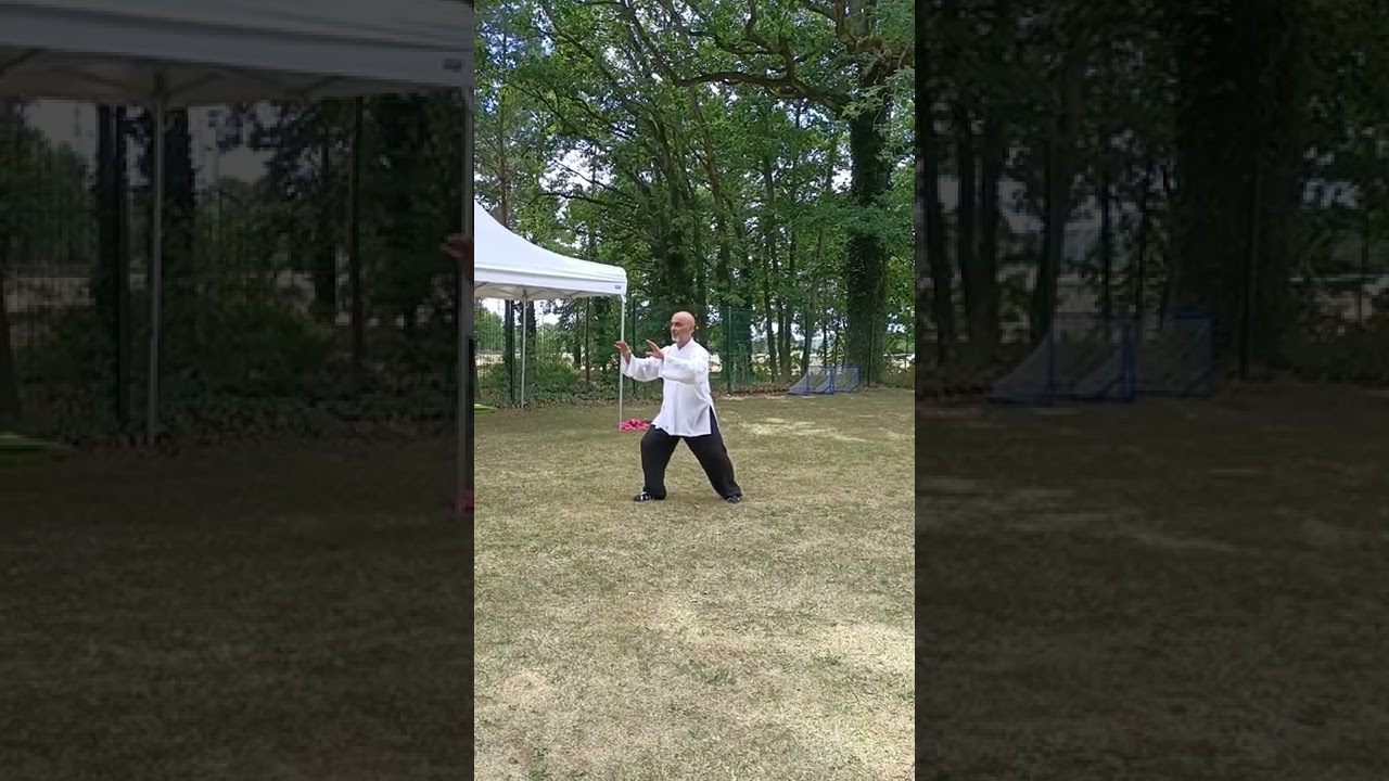 Tai-Chi. Démonstration par Patrick Pottier lors des Estivales du Bien-Être à Aquasud77.