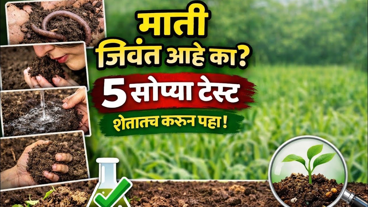 10 मिनिटांत मातीची खरी अवस्था कळेल | #ऊस | #हरभरा | #गहू | #कापूस | #कांदा | #सर्व पिकांसाठी