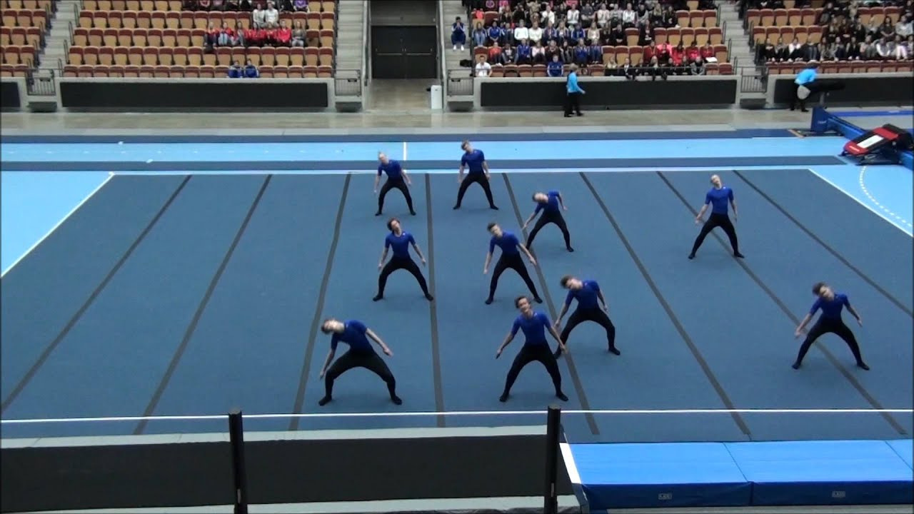 Järfällagymnasterna Herrar JSM 2014