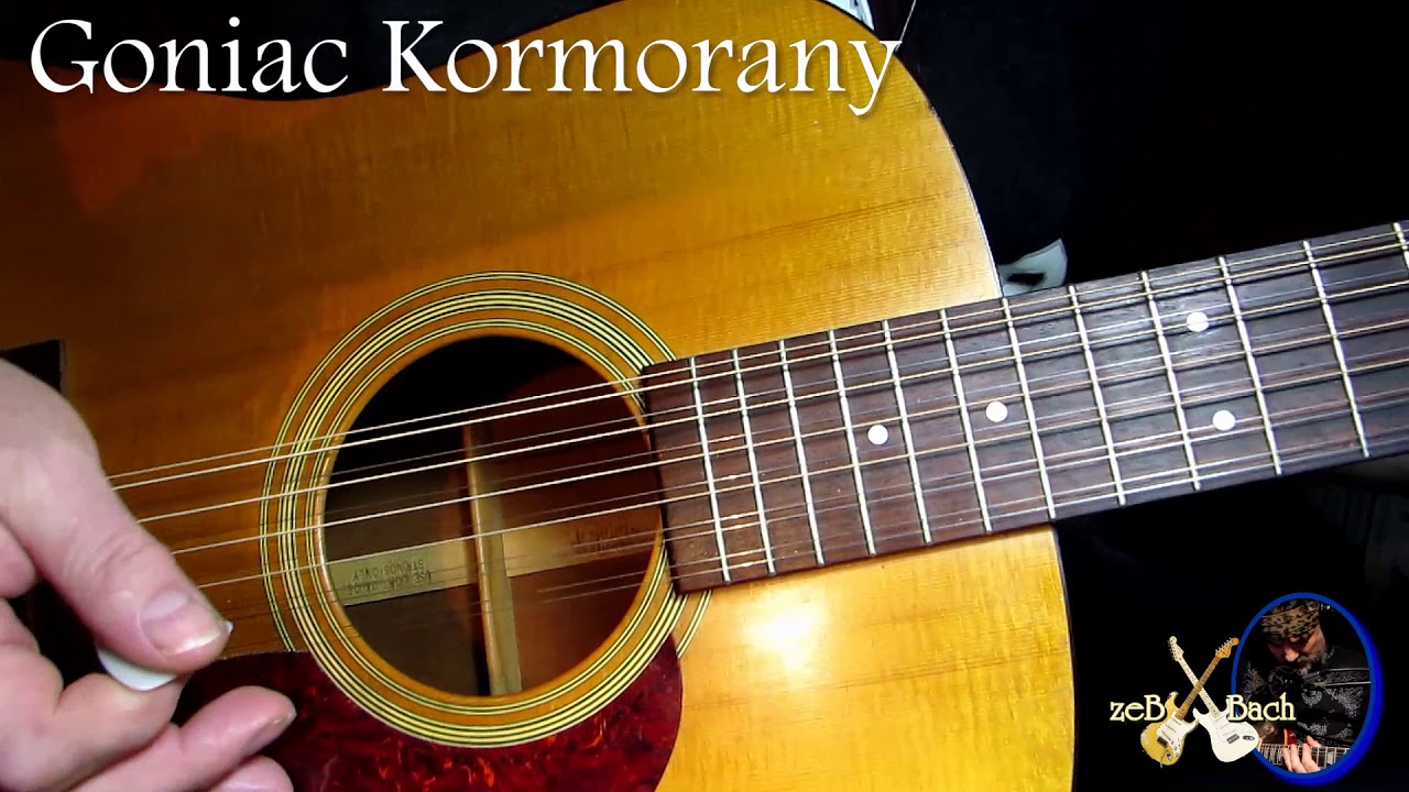Jak Zagrac(na gitarze)-Goniac Kormorany+git intro