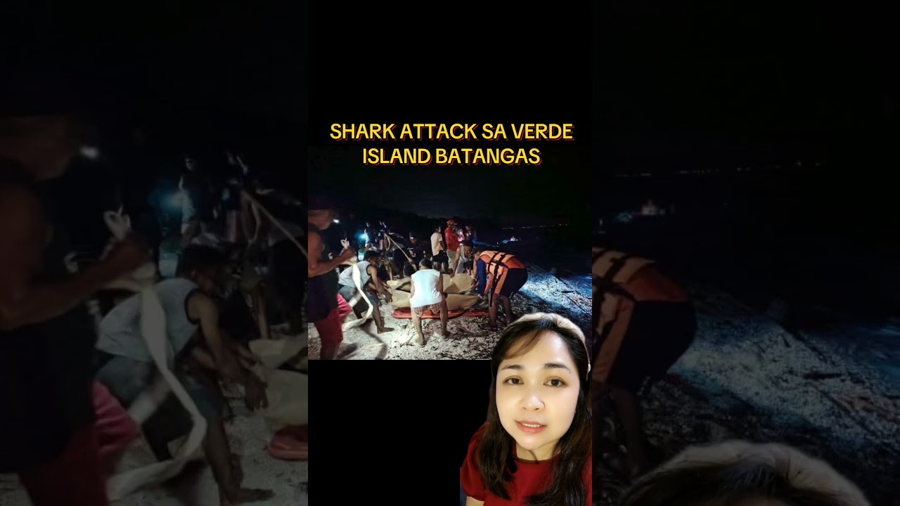 SHARK ATTACK SA VERDE ISLAND BATANGAS/ PATING SA BATANGAS #sharkattackinBatangas #patingsaBatangas