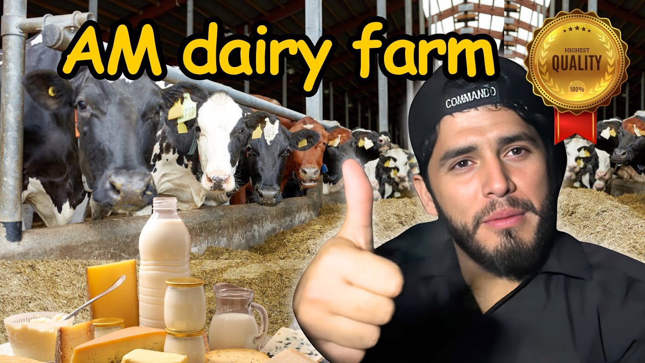 AM Dairy Farm Risal Pur Dekha Phir Peshawar Namak Mandi Chala Gaya | The Best Dairy Farm in Pakistan