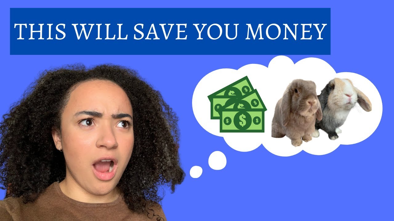 CHEAP Swaps for EXPENSIVE Rabbit Supplies | Affordable Rabbit Supplies
