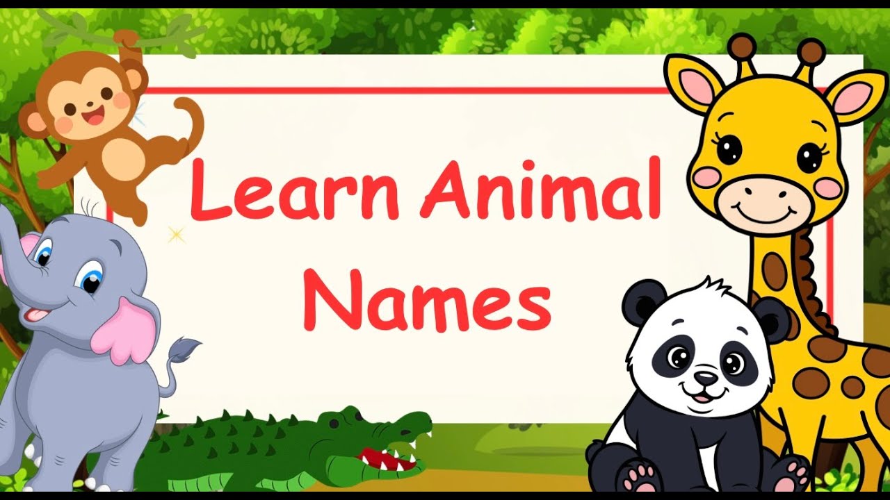 Learn Animals Names | Fun Learning For Pre-schooler & Toddlers #animalnames #animals