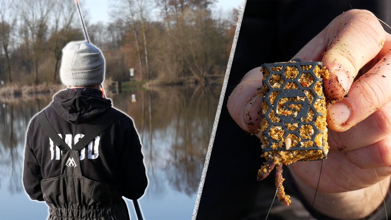 WIOSENNY FEEDER NA KOMERCJI! GOŚCINNIE: BER GAR!