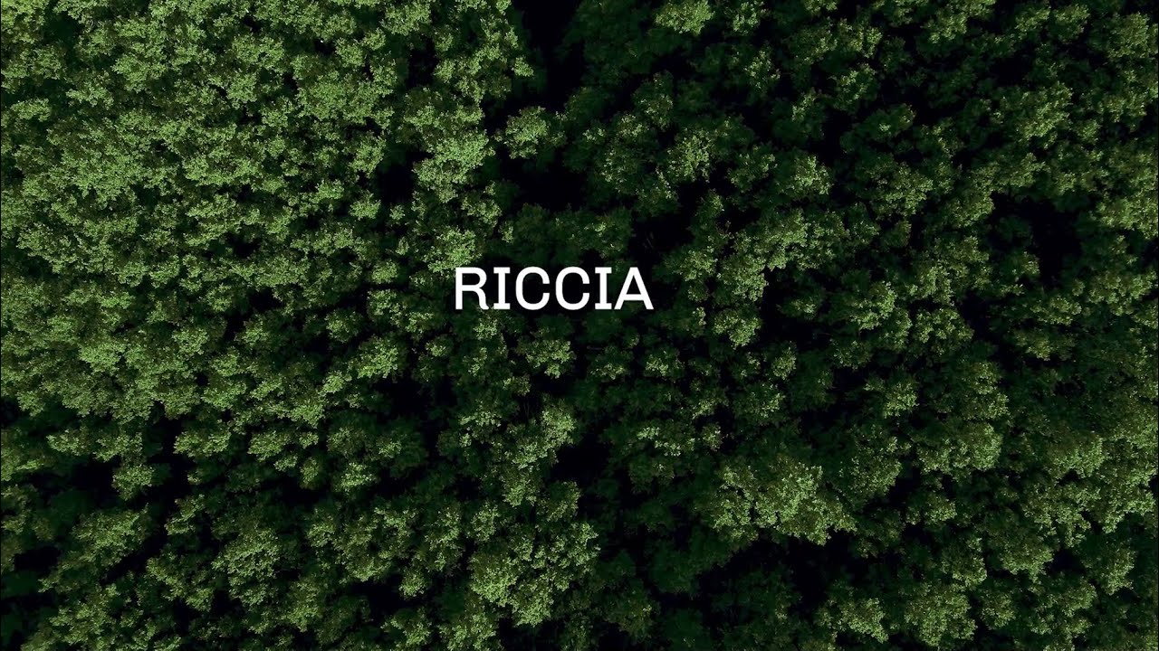 Liminaria - Riccia (CB), 2018