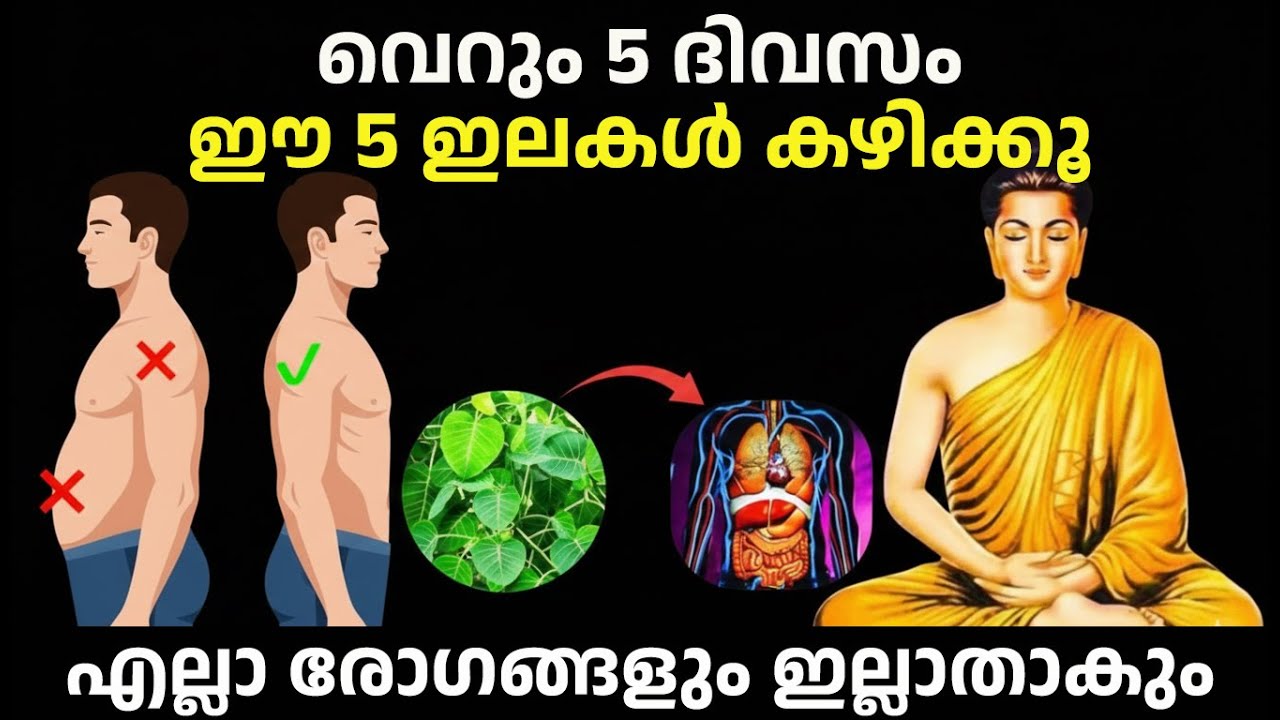 എല്ലാ രോഗവും മാറും ഈ 5 ഇലകൾ കഴിച്ചാൽ | Buddha Story |  Ayurveda Health Tips Malayalam