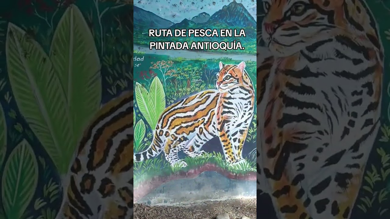 RUTA DE PESCA Y AVENTURA DE PESCA LA PINTADA ANTIOQUÍA.