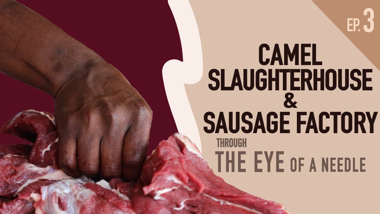 Camel sausages? Kenyan pastoralists eye a meaty opportunity - Through the Eye of a Needle [Ep. 3]