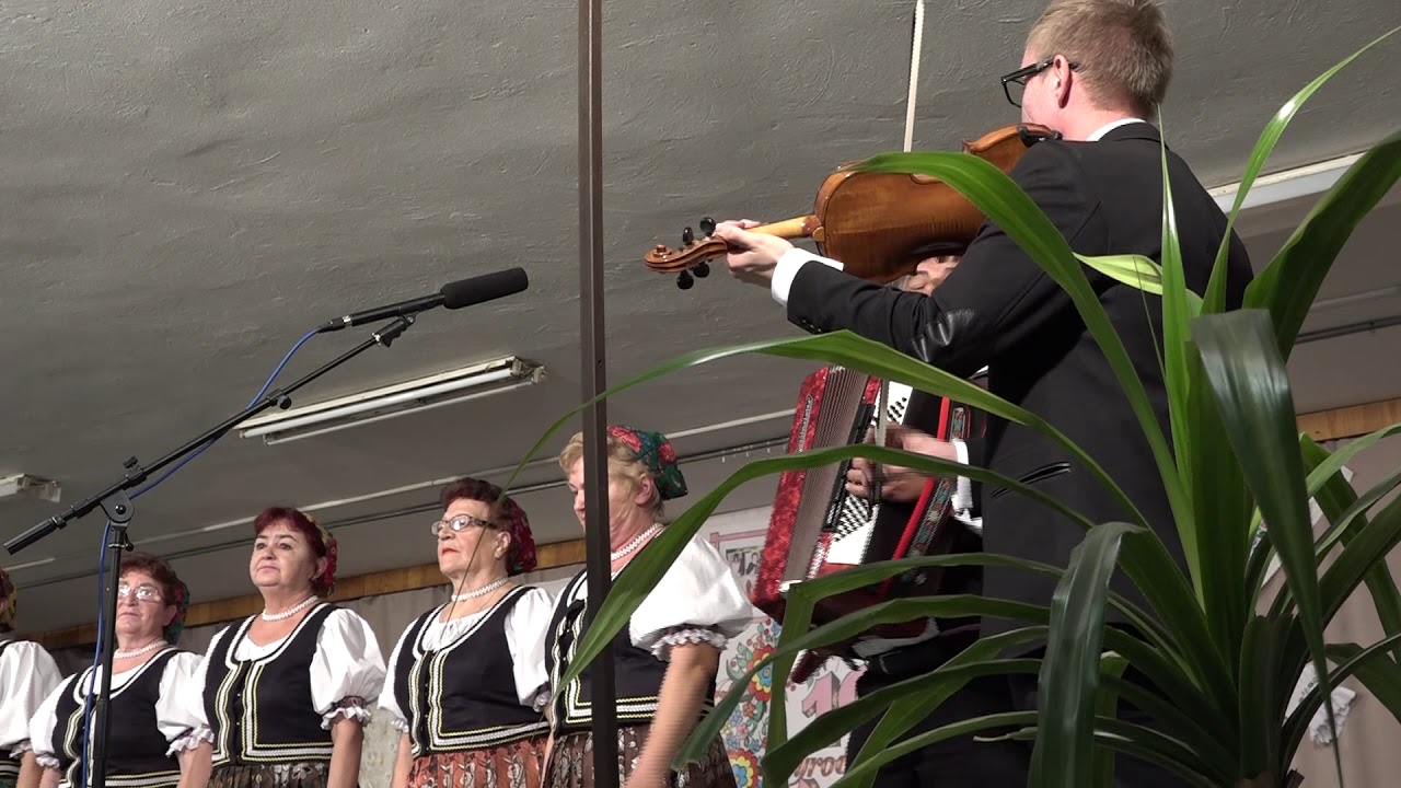 VEDERKO folkl. sk., záznam z koncertu, Ked ja išol cez hajičok, ľudová pieseň, VIDEOROHAĽ