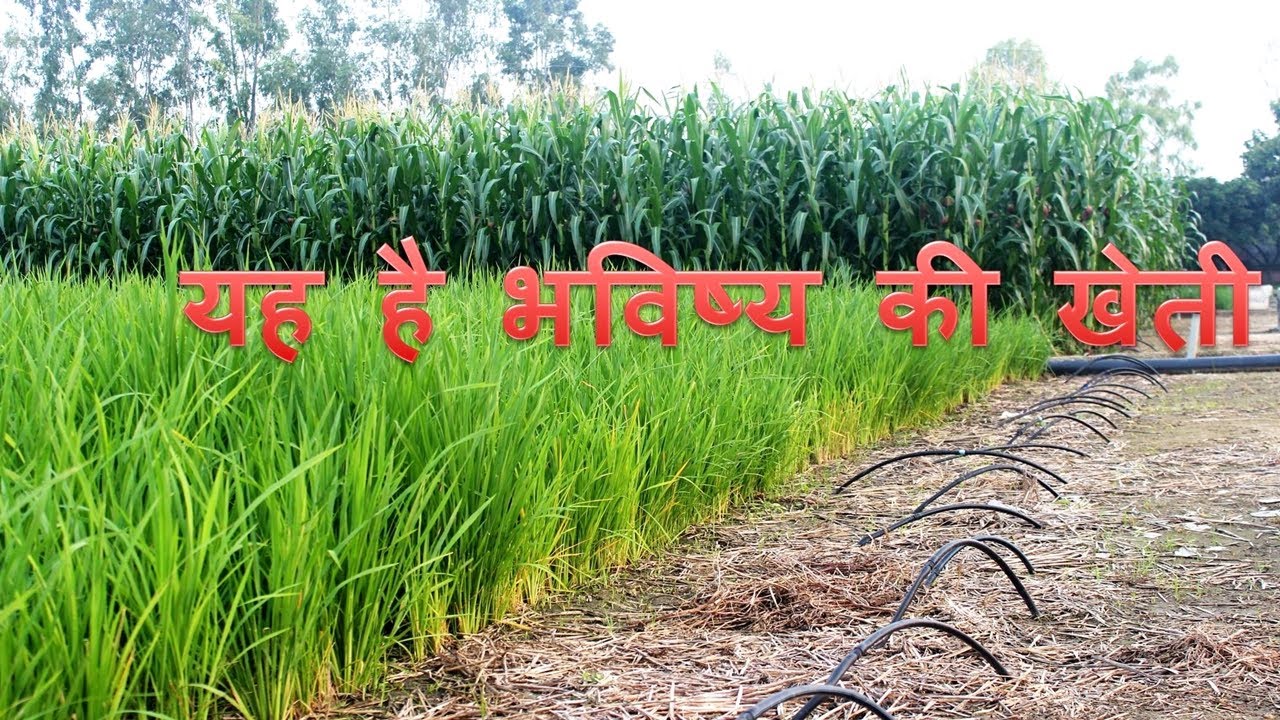 अंडरग्राउंड ड्रिप विधि से किसान कर सकेंगे सभी फसलों की खेती।