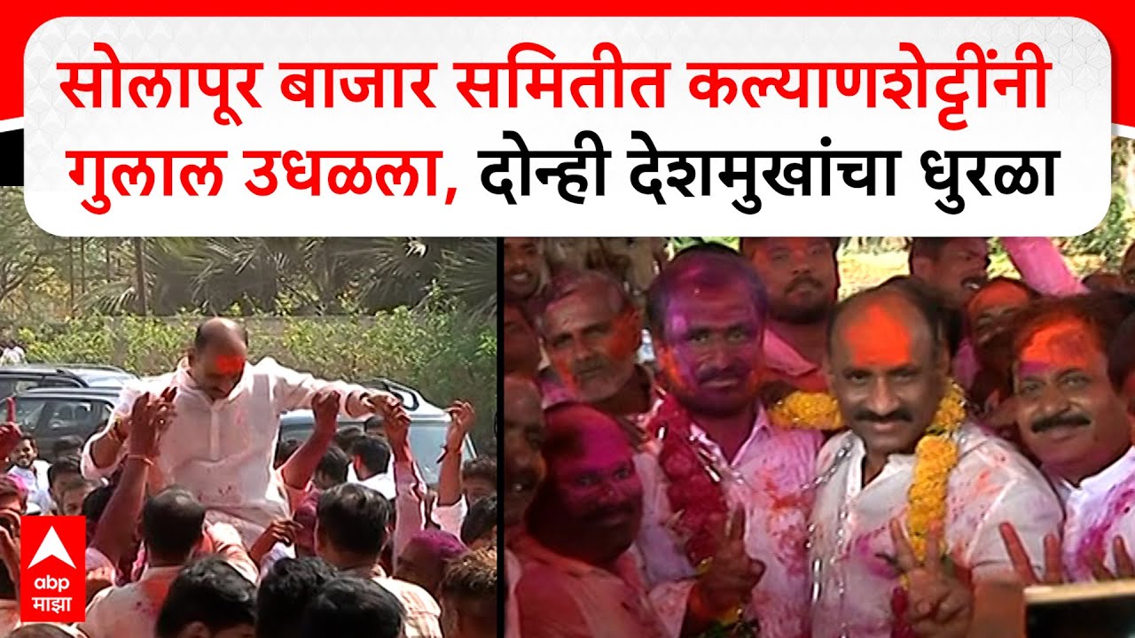 Solapur APMC Election : सोलापूर बाजार समितीत कल्याणशेट्टींनी गुलाल उधळला, दोन्ही देशमुखांचा धुरळा