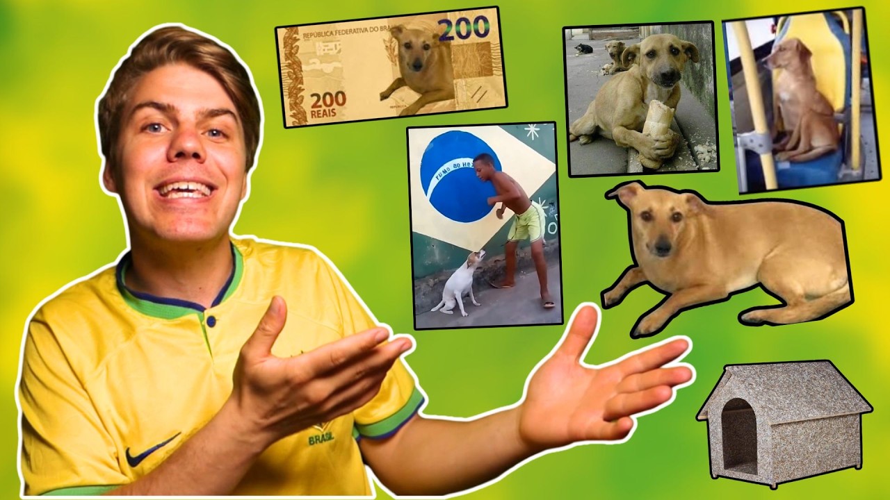 Como Vira Lata Caramelo Virou Um Simbolo do Brasil?
