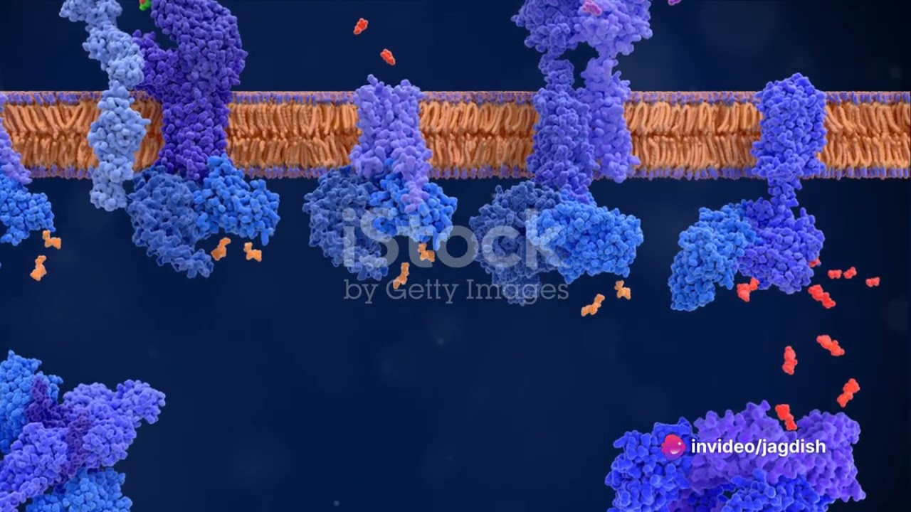 G Protein linked Cell Surface Receptor #G protein
