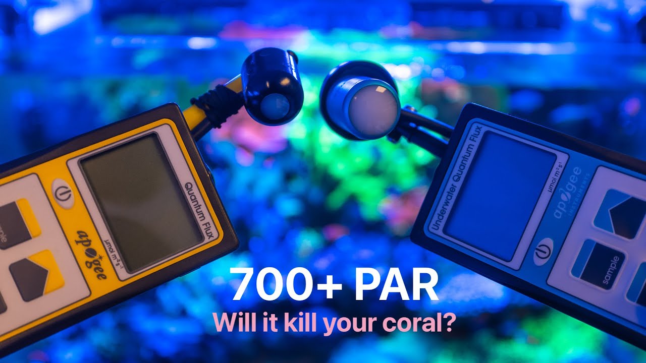 Will Too Much Light (700+ PAR) Kill Your Coral?