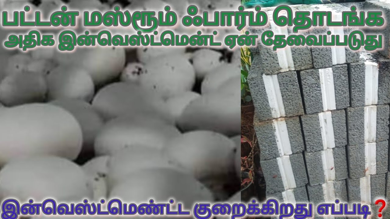 பட்டன் காளான்  பண்ணை தொடங்க ஏன் பெரிய முதலீடு தேவைப்படுது அத குறைக்கிறது எப்படி?