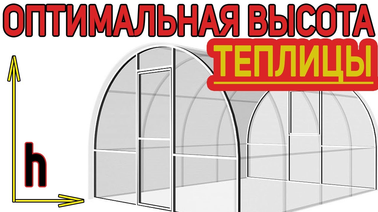 Какая должна быть оптимальная высота теплицы?