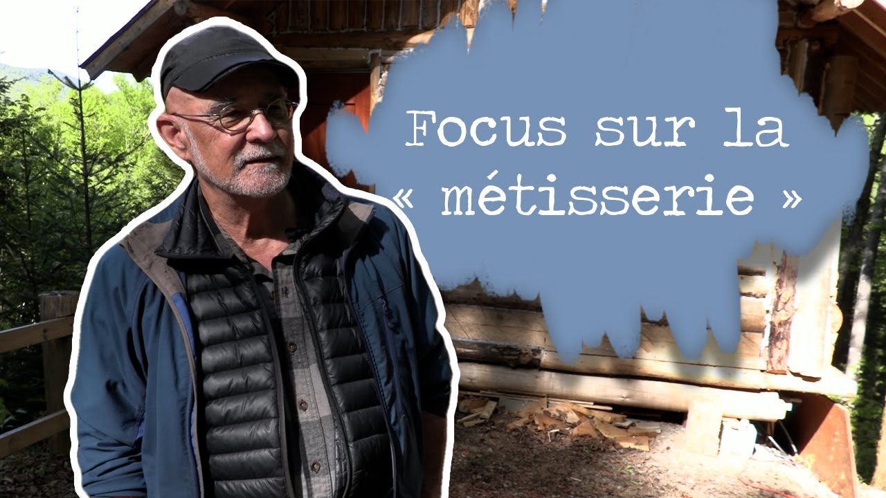 Focus sur la « métisserie »