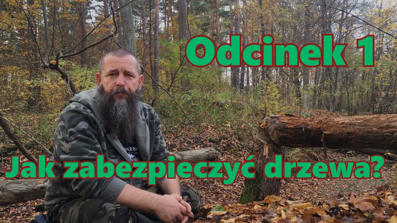 1. Jak zabezpieczyć drzewa?