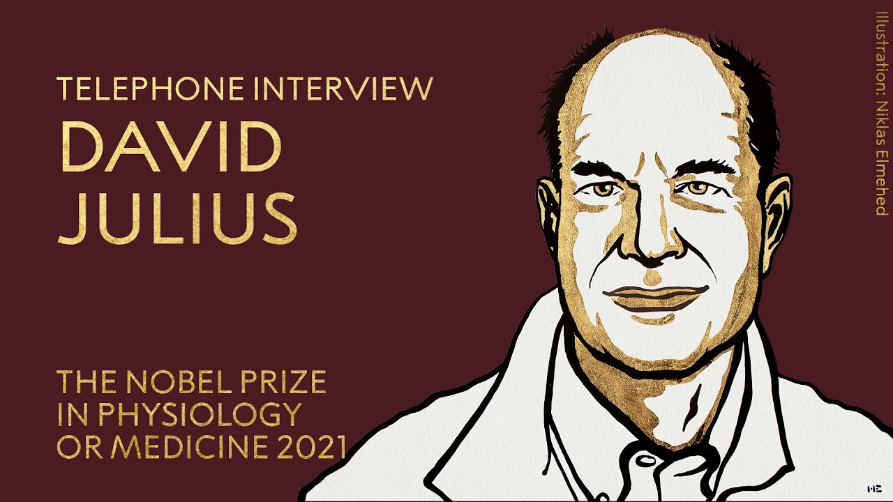 First reactions | David Julius, Nobel Prize in Physiology or Medicine 2021 | Telephone interview