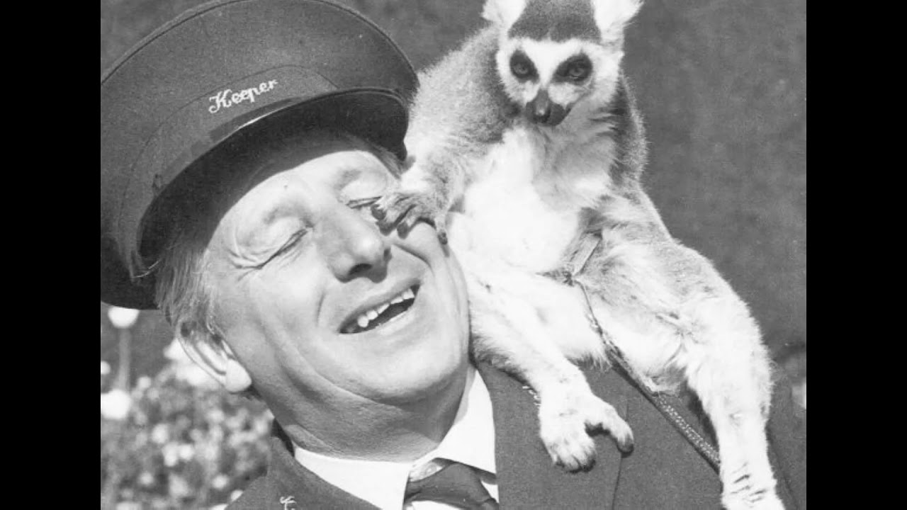 Animal Magic - The Original Theme Tune - BBC TV 1960s