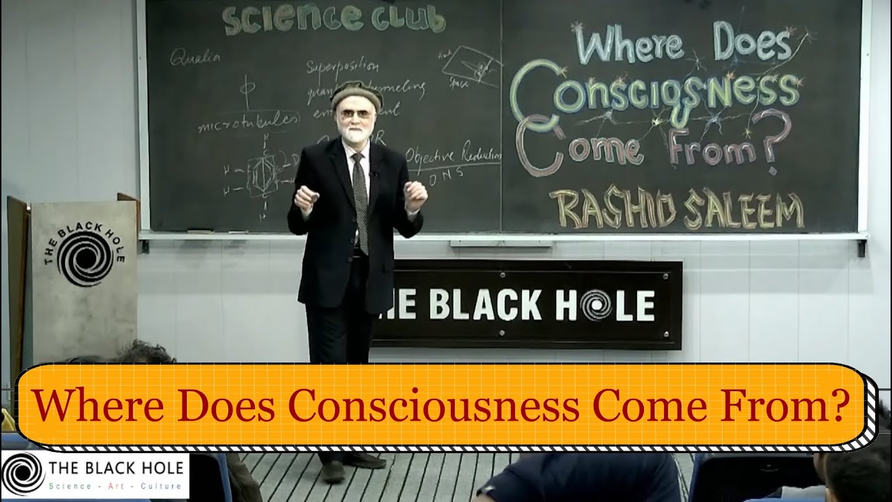 Where Does Consciousness Come From? | Rashid Saleem