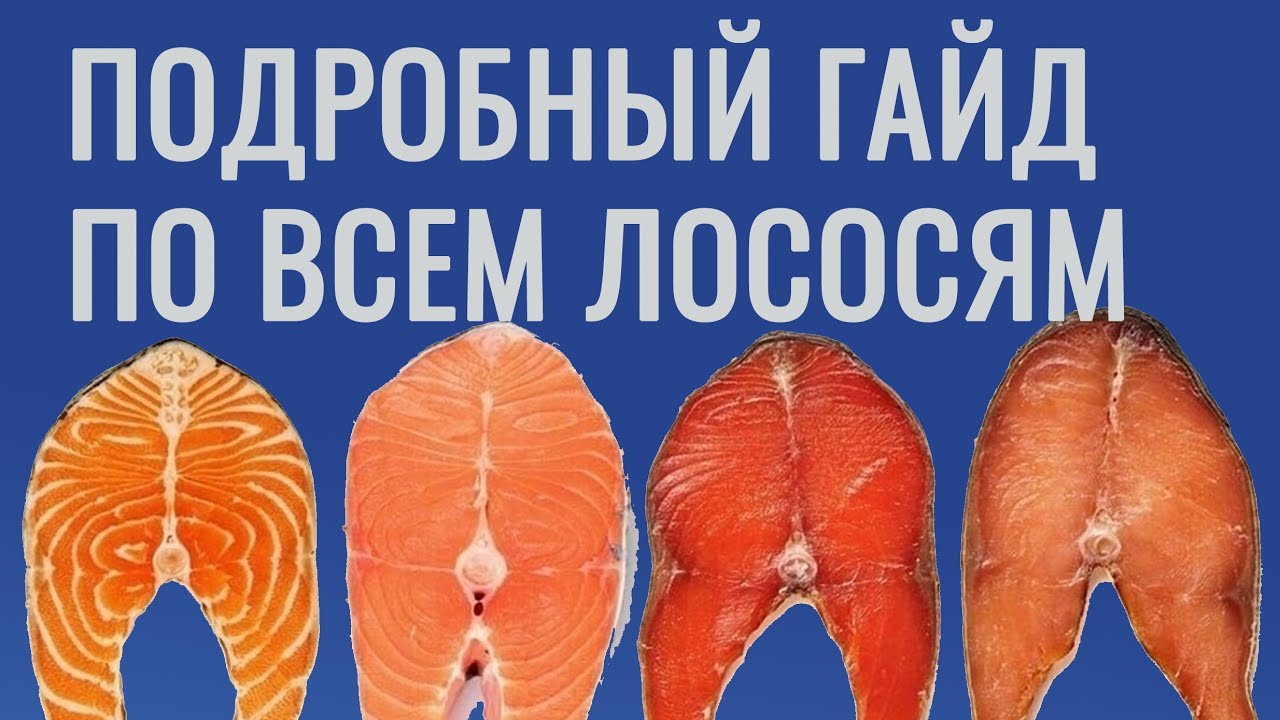 Гайд по лососям. Как выбирать, как солить, как выжать из рыбы всё.