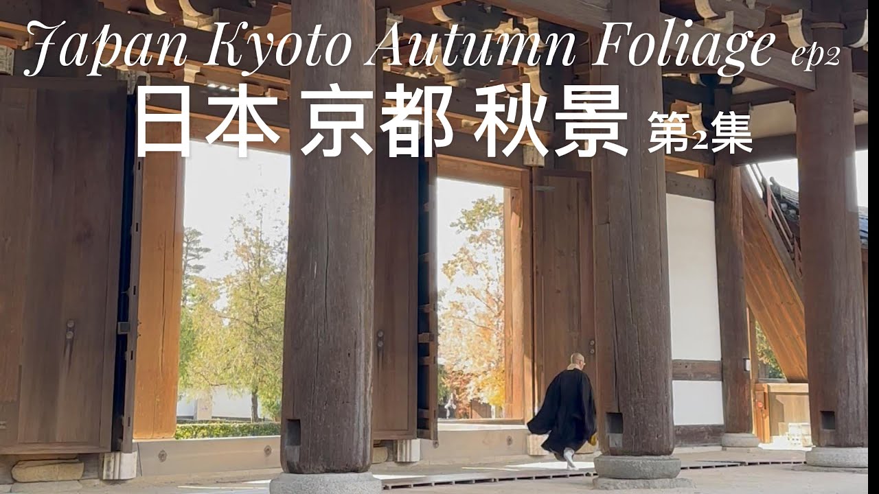 Japan Kyoto Autumn Foliage 日本京都秋景
