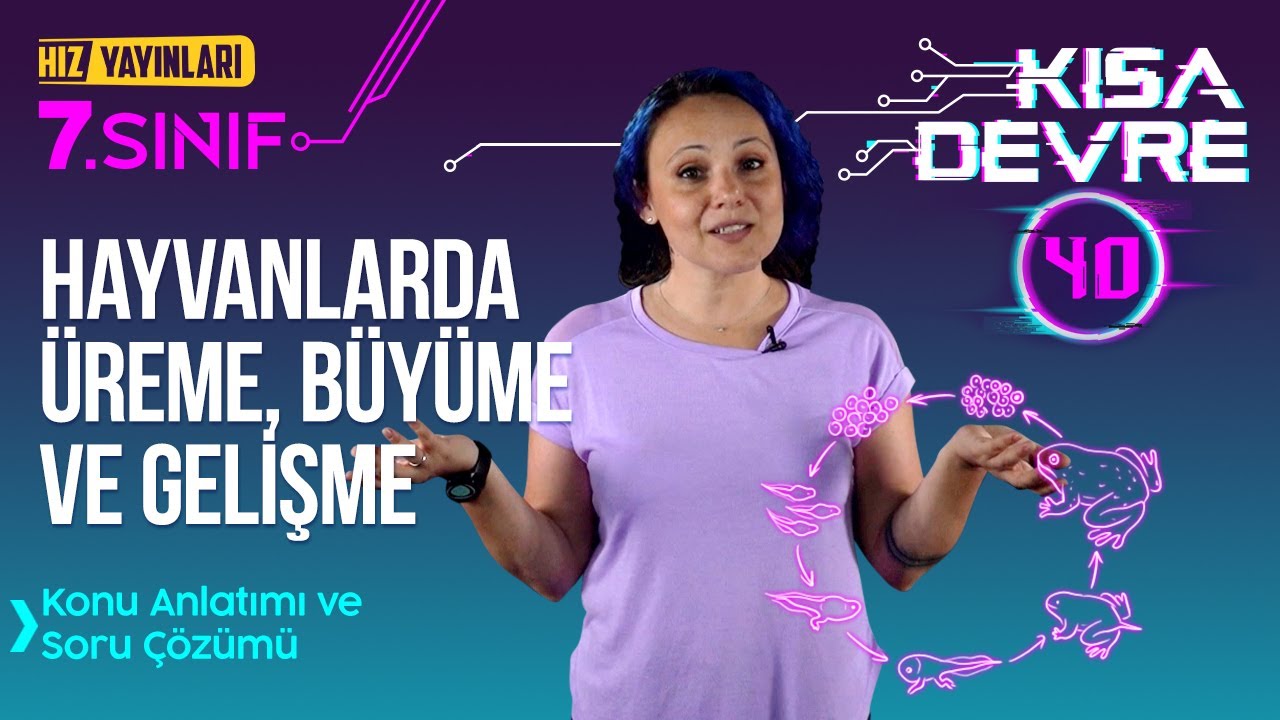 Hayvanlarda Üreme, Büyüme ve Gelişme (Konu Anlatımı, Test Çözümü) 7. Sınıf Fen #40